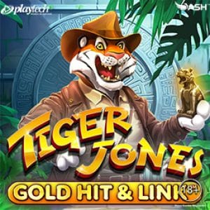 Gold Hit & Link_ Tiger Jones™ screenshot